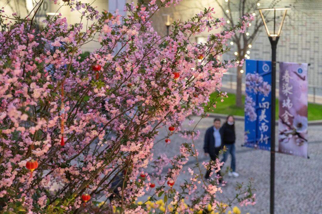 怀得上，但是保不住，频繁“运气不好”的她终于在这里圆梦……